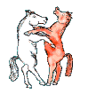 cavalli danzanti